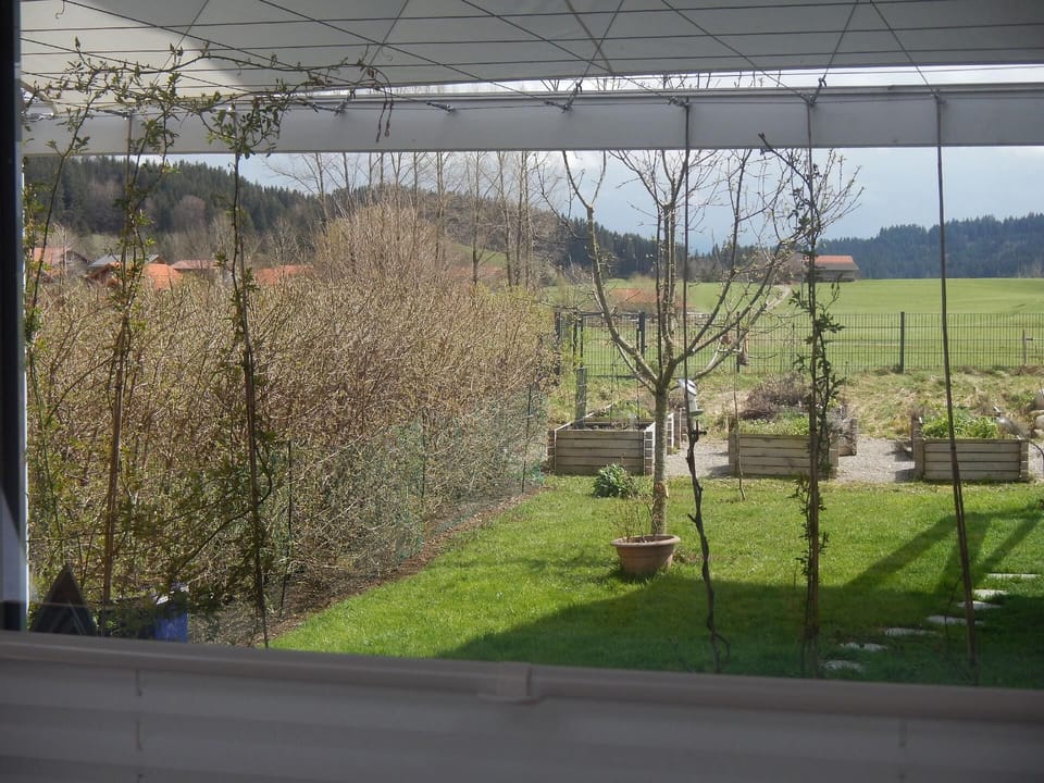 View from the window