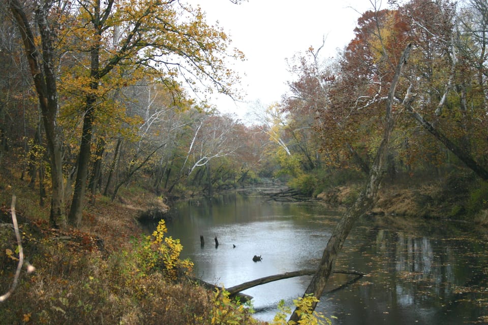 Clark's River National Wildlife Refuge 