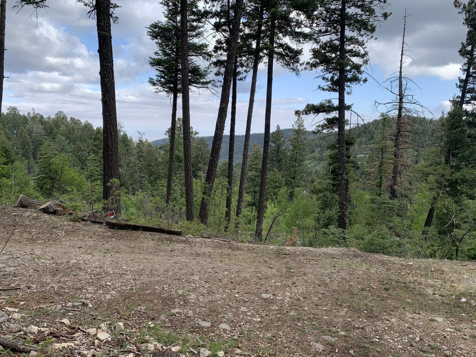 View from the lower backyard