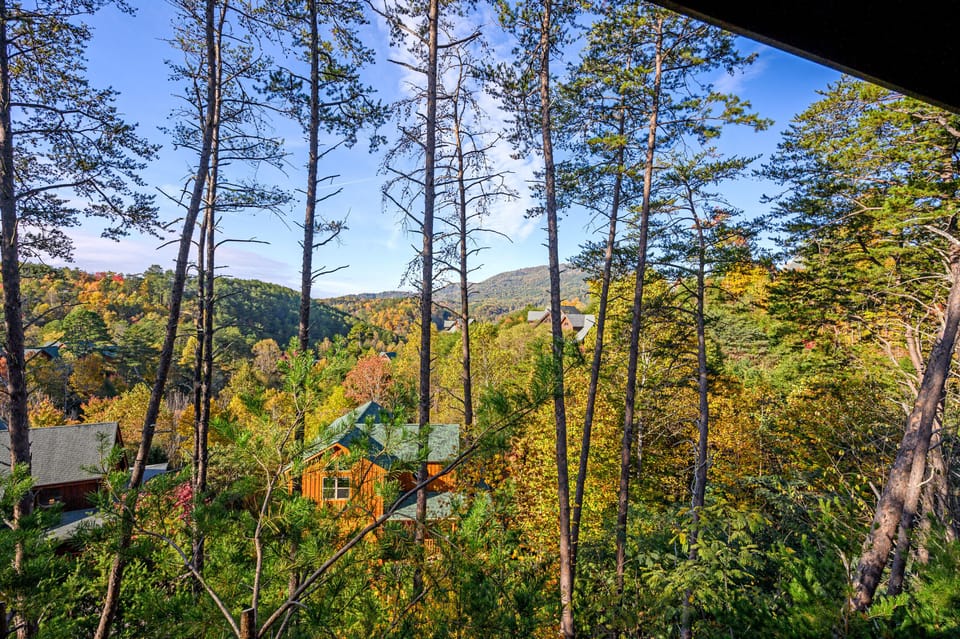 Your view from the rear porch or in the hott tub!