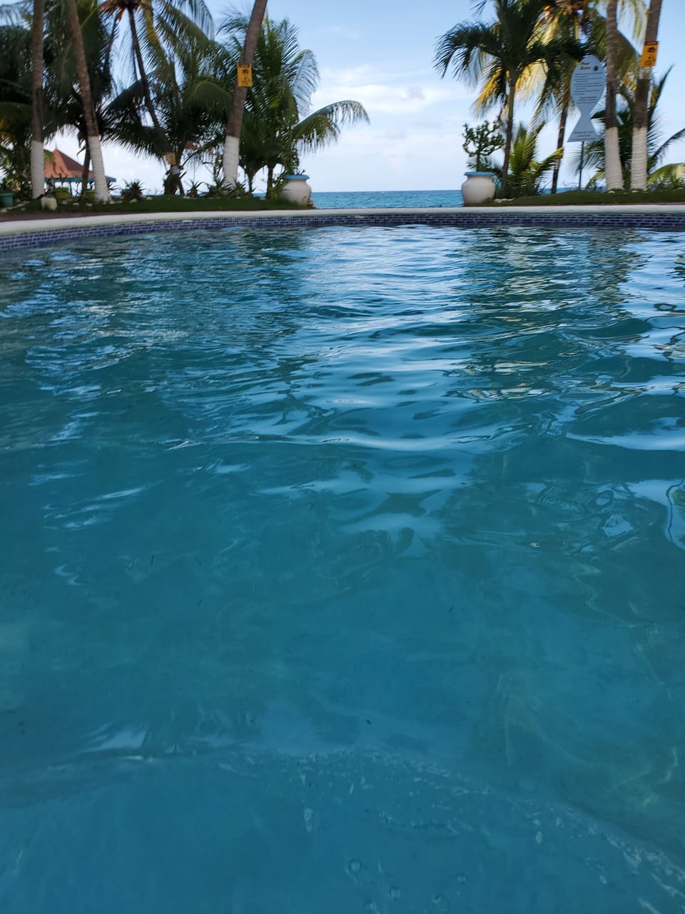 cozy pool