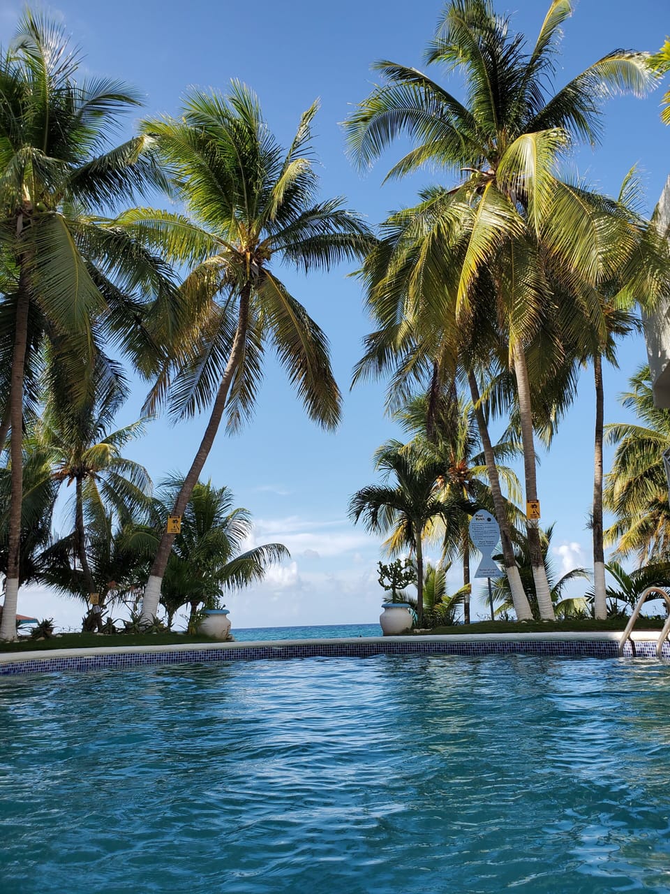 view from the pool
