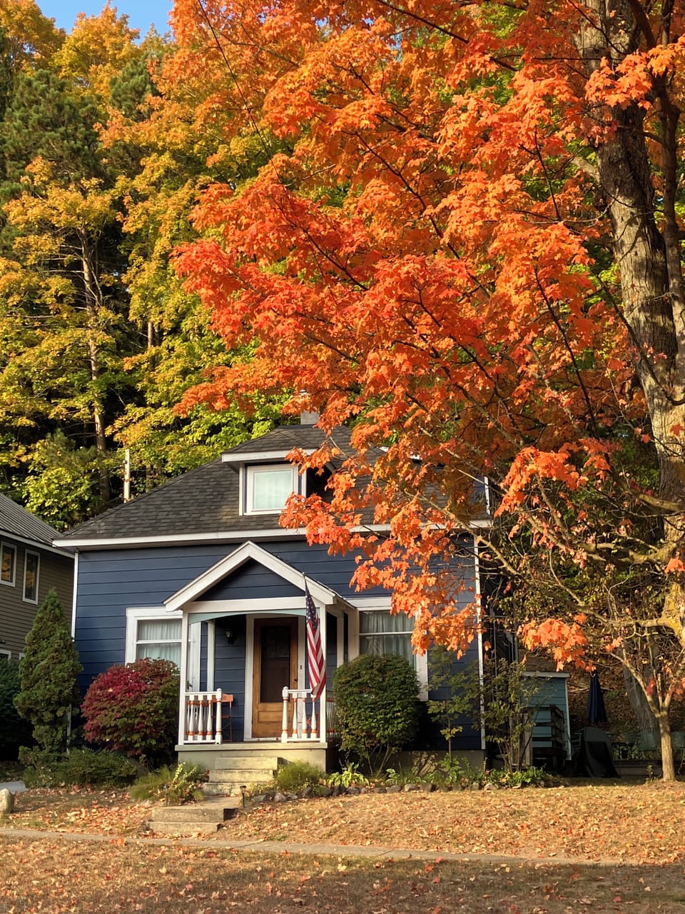Fall colors