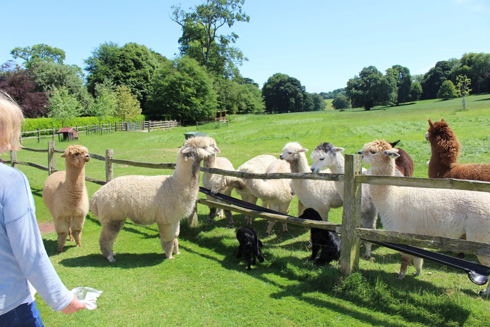 Feeding time!