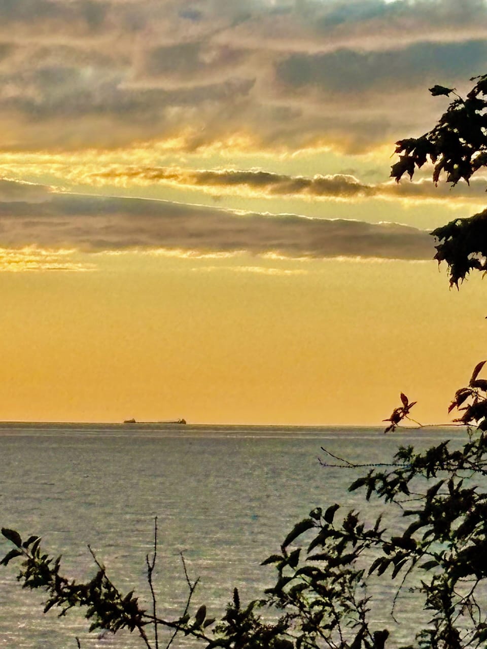 Watch freighters from the deck. 