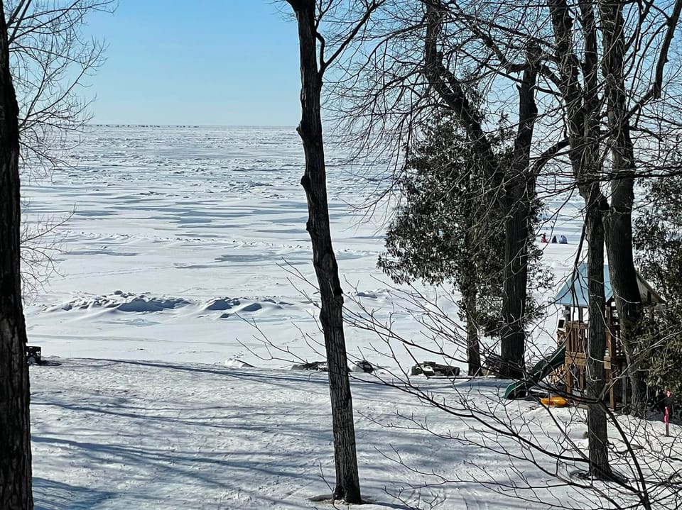 Winter Lake View