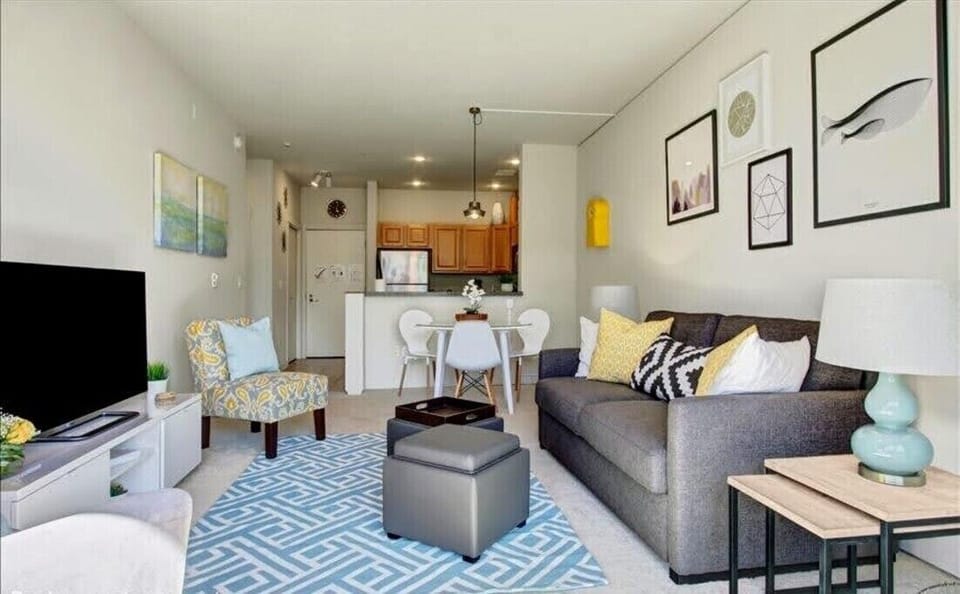 Bright living room with comfortable sofa bed. 