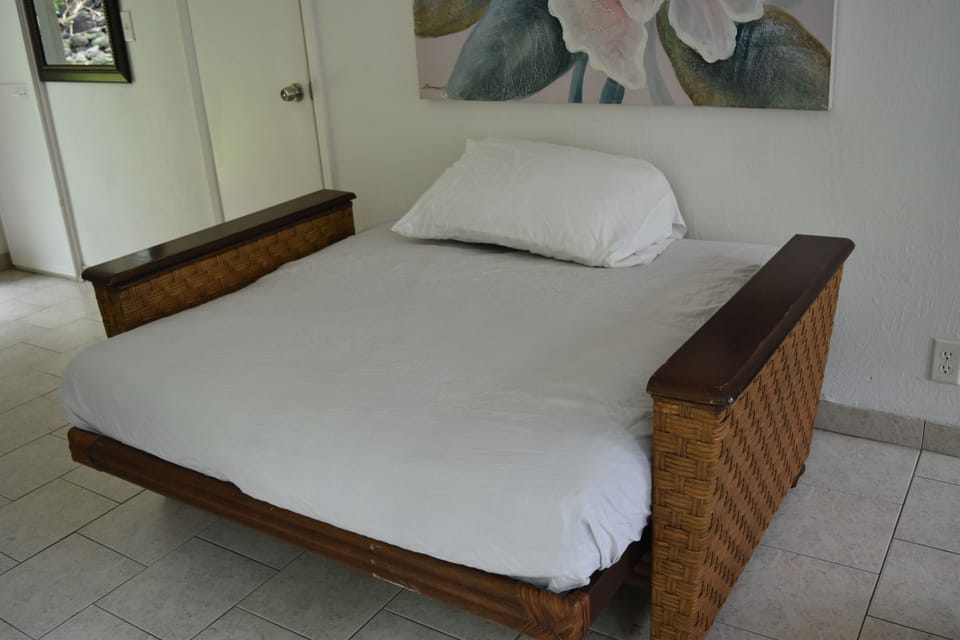 Pull out couch