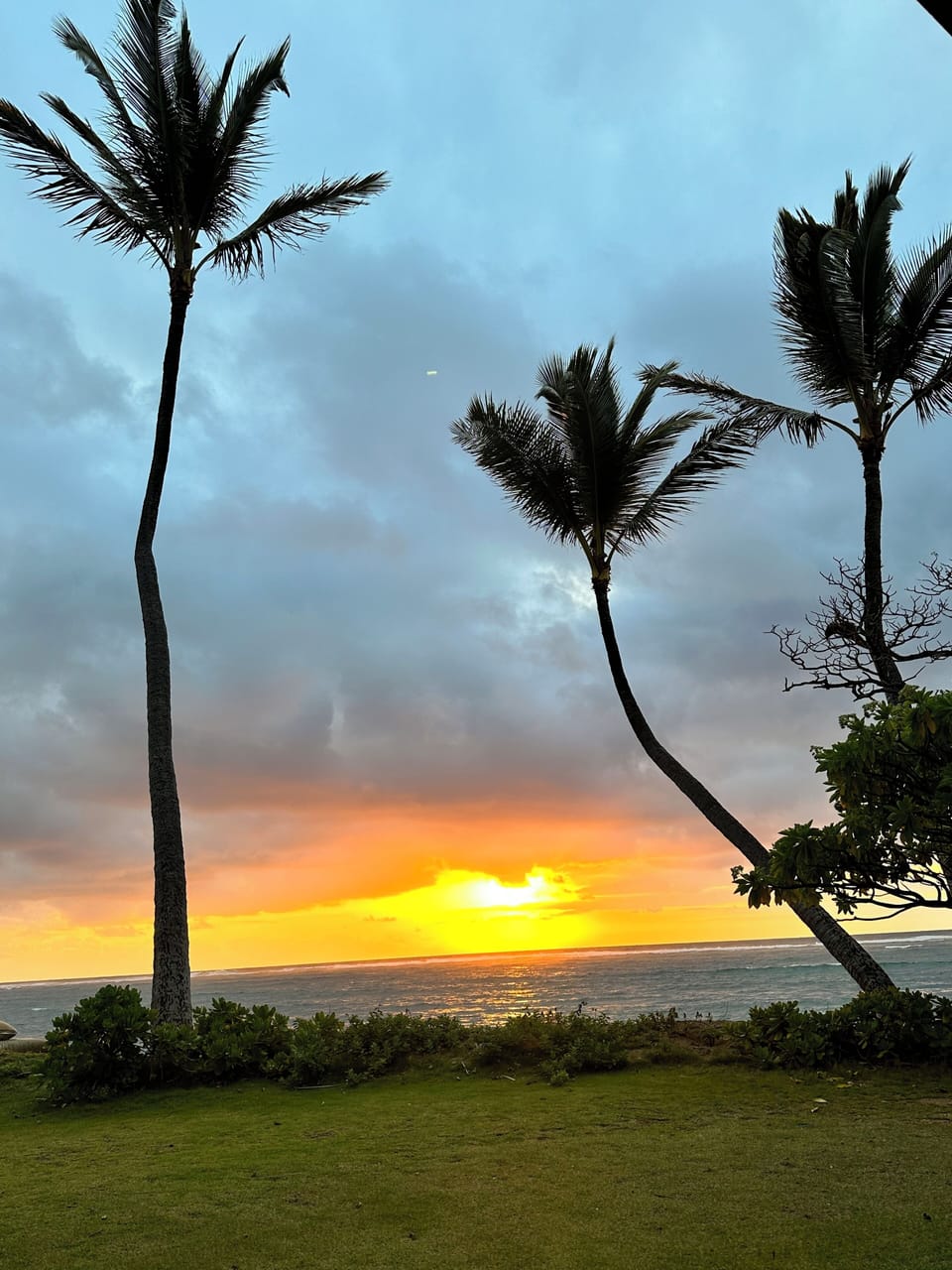 Typical sunrise!