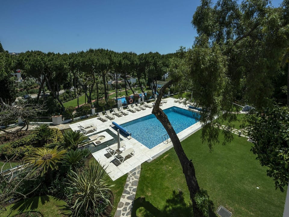 Plant, Water, Sky, Swimming Pool, Nature, Tree, Urban Design, Biome, Shade, Eco Hotel