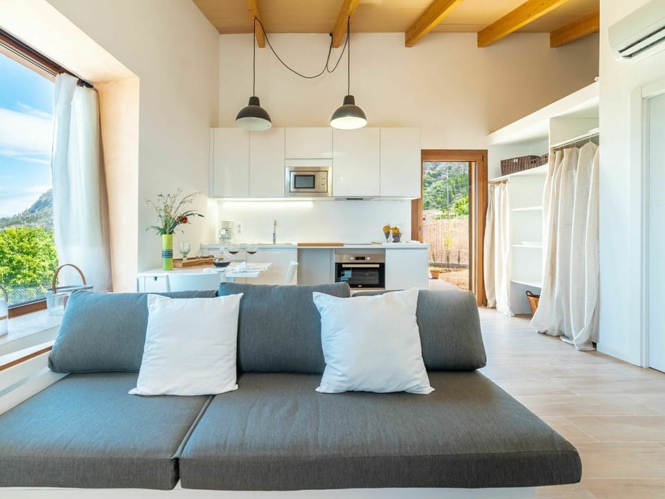Plant, Furniture, Comfort, Building, Azure, Blue, Wood, Picture Frame, Houseplant, Shade