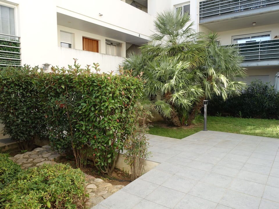 Plant, Window, Building, Land Lot, Vegetation, Tree, Grass, Road Surface, Shrub, Evergreen