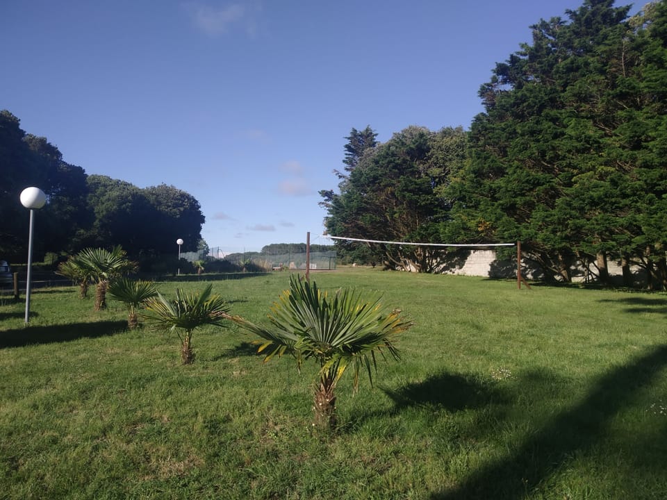 Sport court