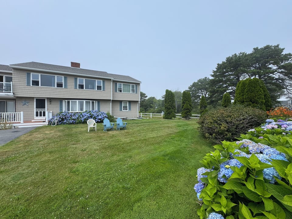 Front of the house has an oversized yard