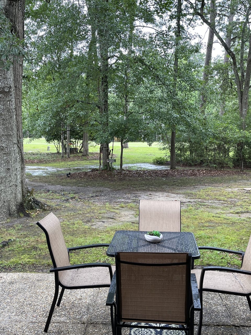 BBQ and chill! 