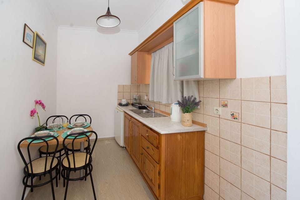 Spiros and Polyxeni Apartment 4 Afionas Kitchen And Dining Area 