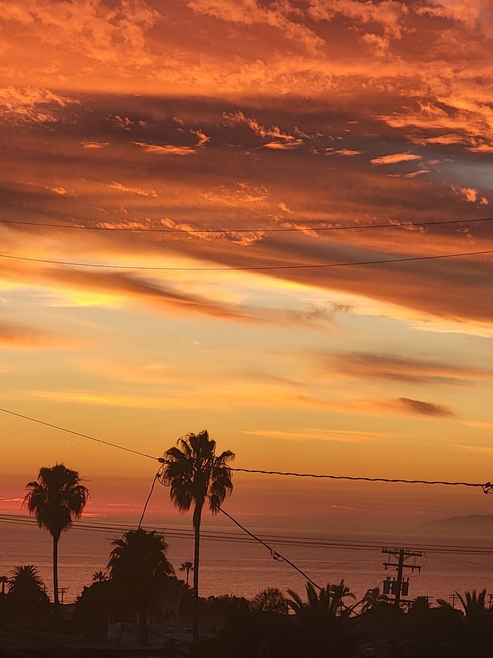 This was crazy...the whole sky was alive from our deck
