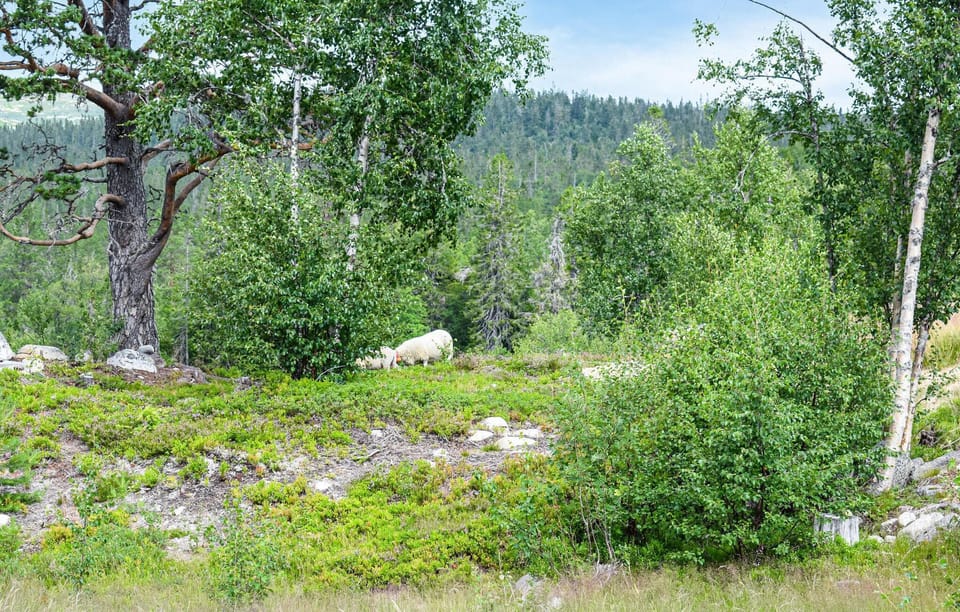 area