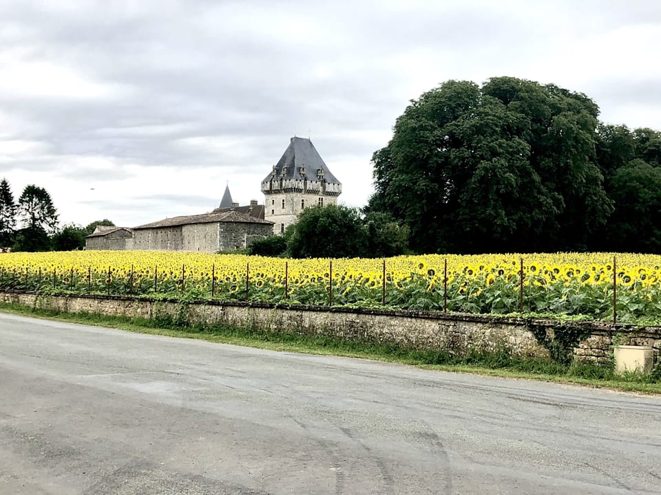 Image 20