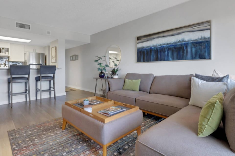 Relax on the cozy living room sofa