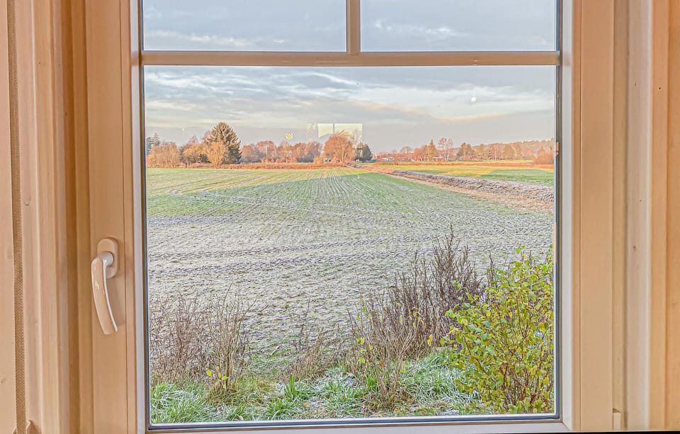 view-from-room