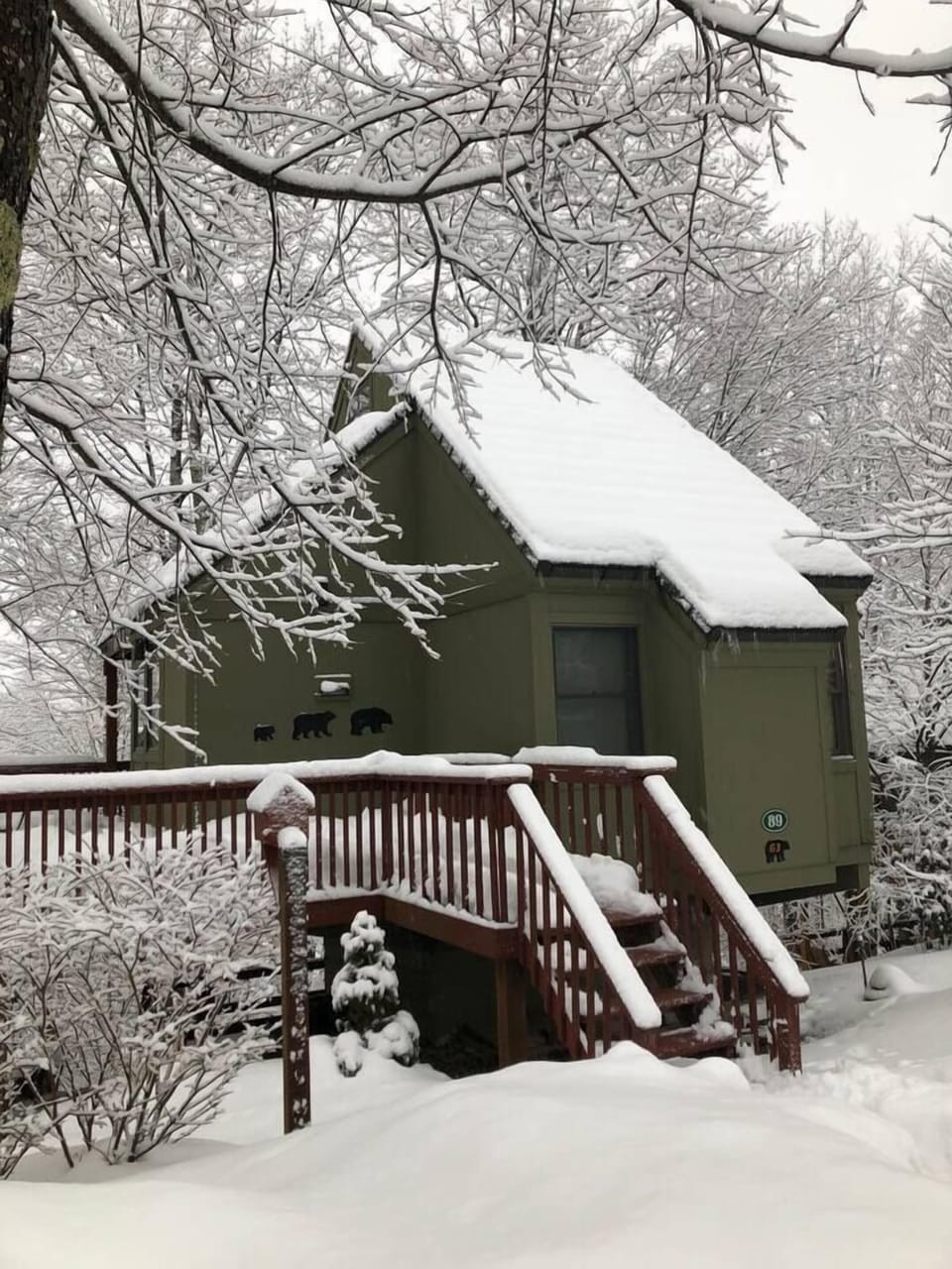 Nestled in the woods