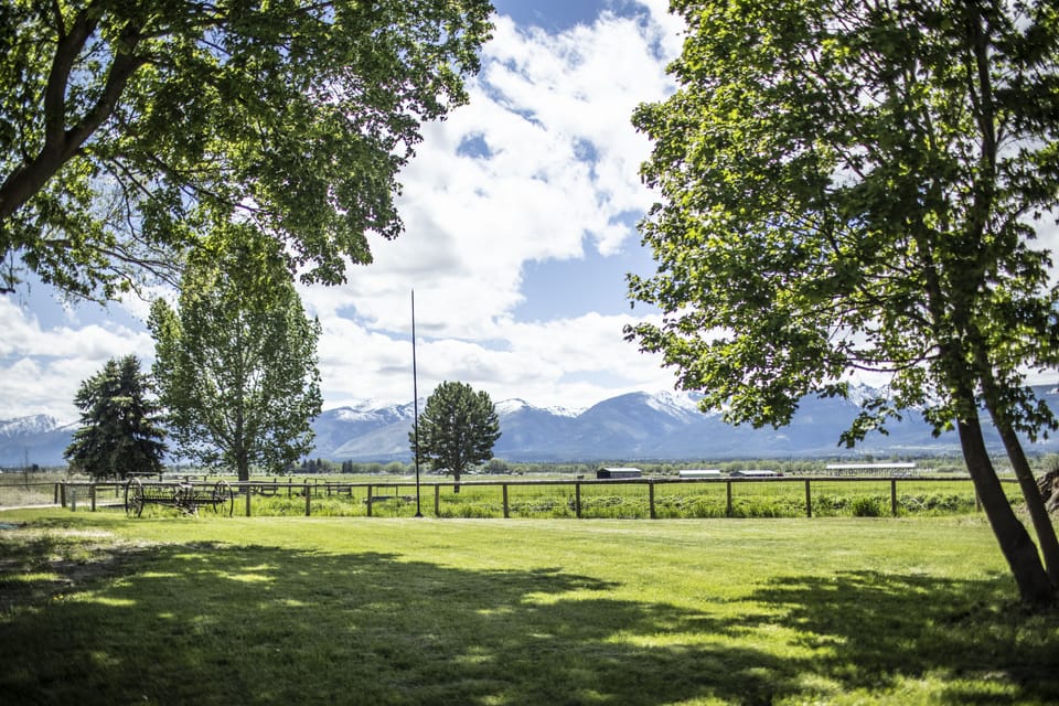 Shaded lawn and garden area with mountain views.
