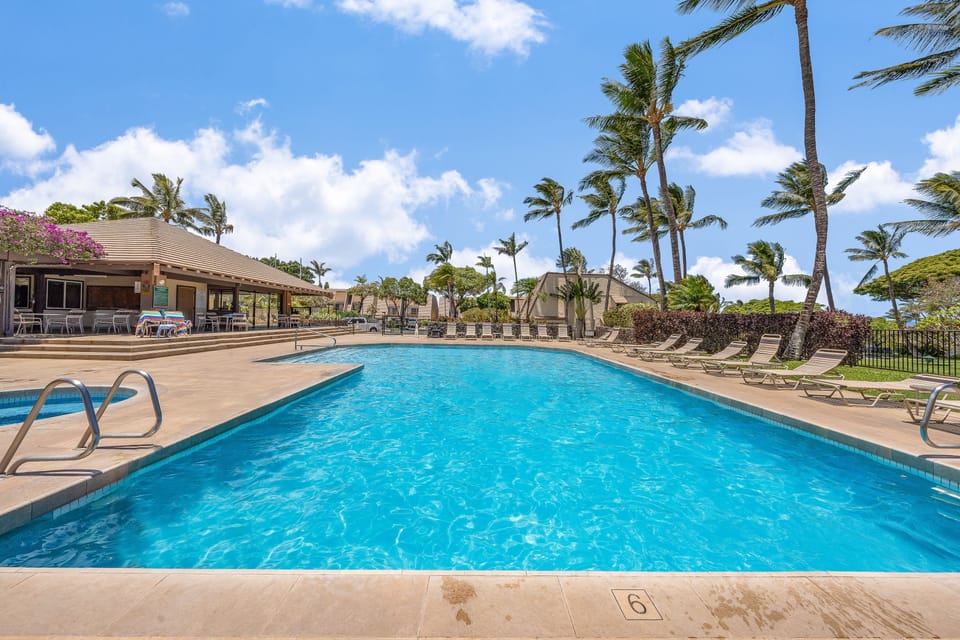 Lagoon-style pool with palms and mountain views.