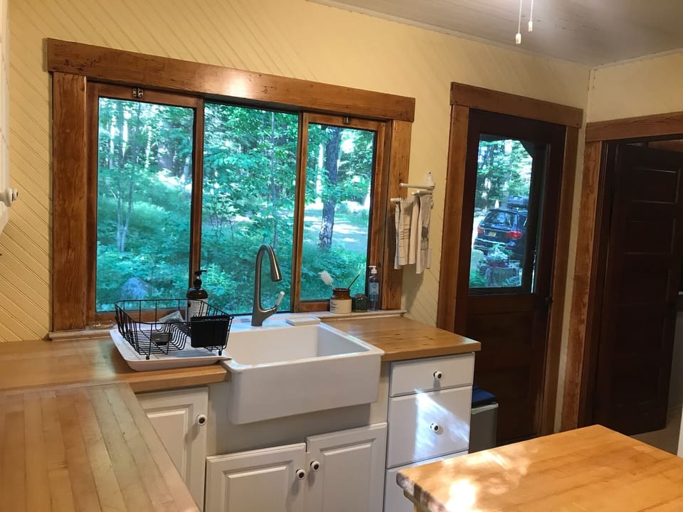 Looking out into nature from the kitchen sink.
