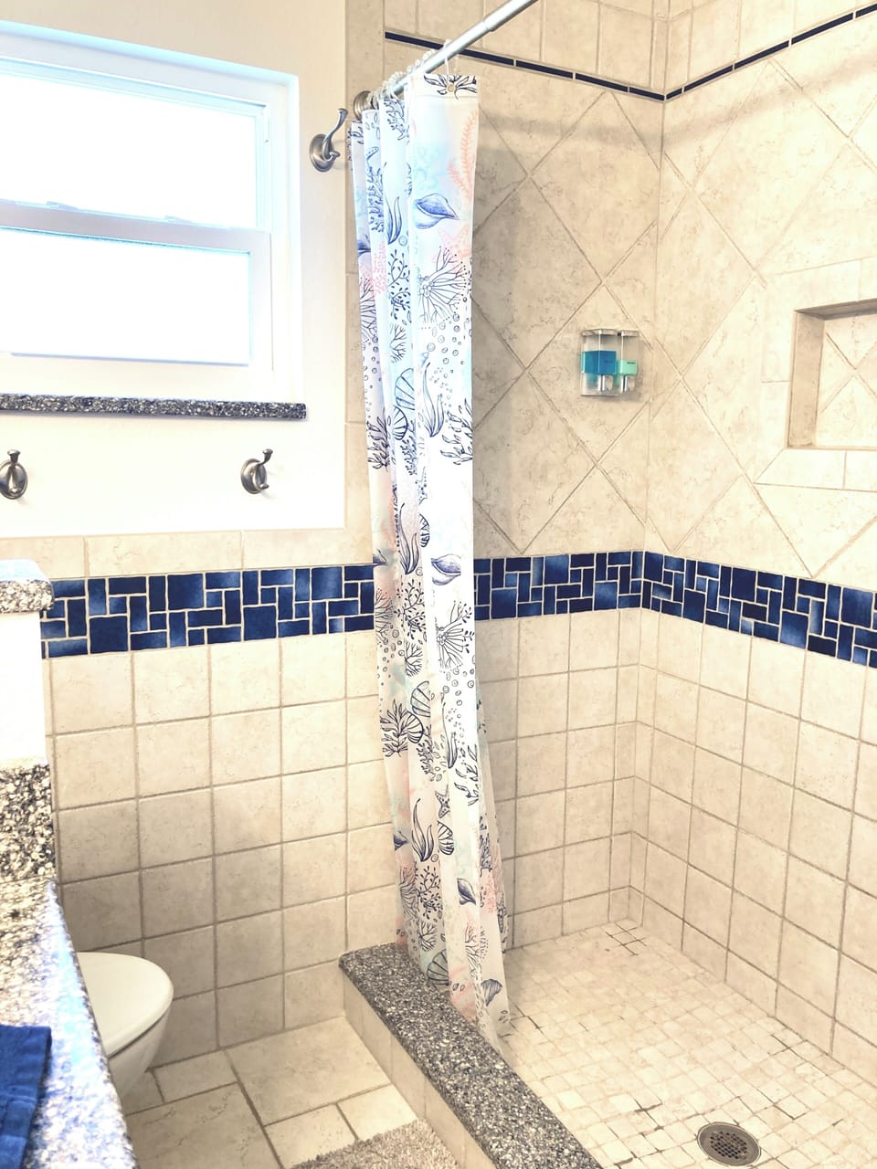 Step in shower in hall bath