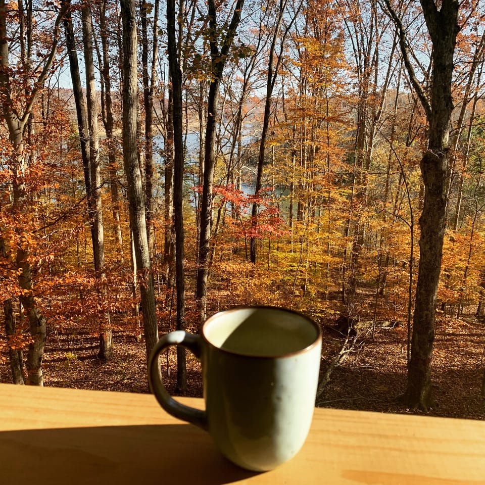 Autumn View