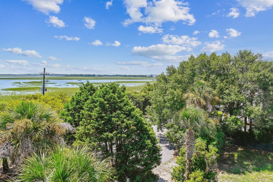 look out over the marsh