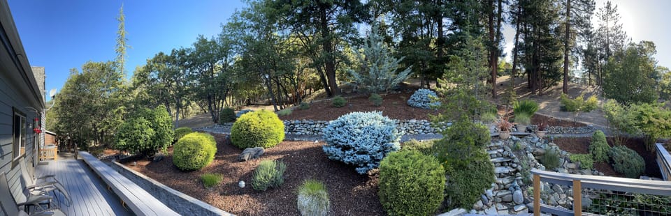 Side Deck and Backyard