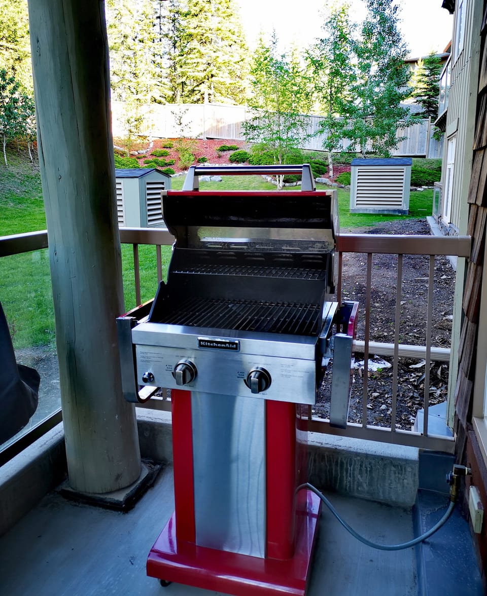 Natural gas BBQ grill on the deck