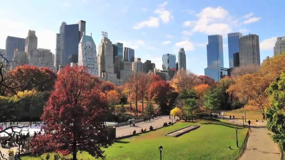 Unwind with a scenic stroll through Central Park’s open lawns