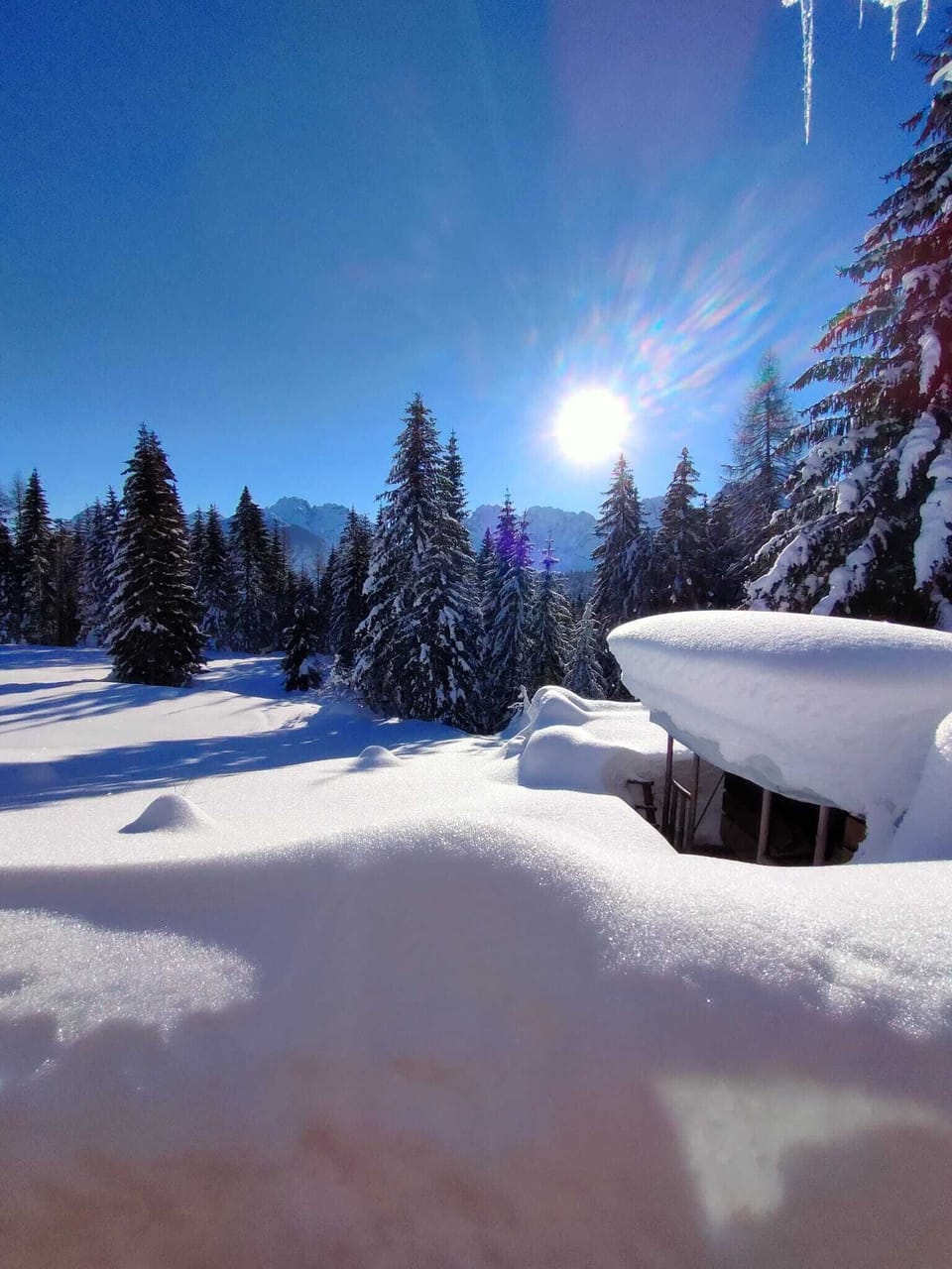 Snow and ski sports