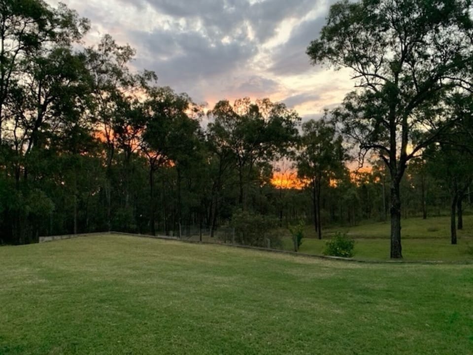 Winter sunset