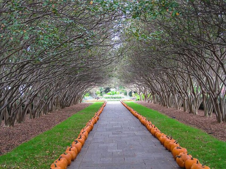 We recommend a visit to the nearby 66-acre Dallas Arboretum & Botanical Garden.