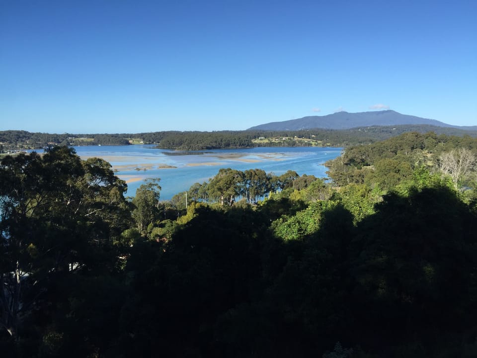 Low tide on Wagonga Inlet