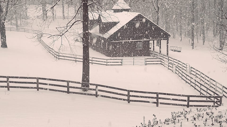 Freshly fallen snow on the barn