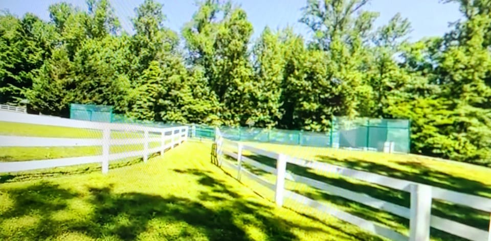 tennis courts