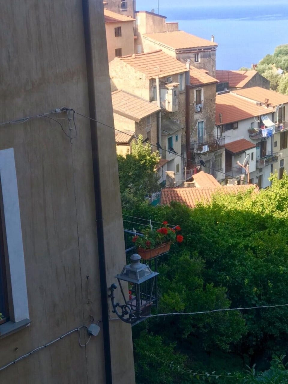 View from property