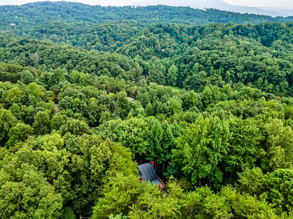 Secluded and peaceful is how you will feel when staying at Lazy Fox Retreat