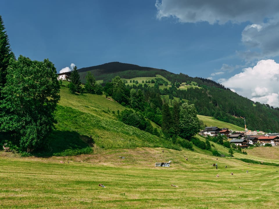 Immediate Surroundings [summer] (<1 km)