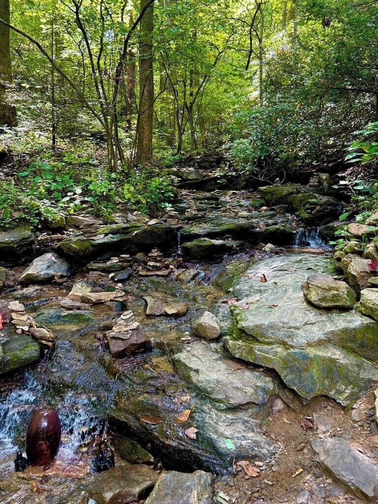 Beautiful stream on your hike