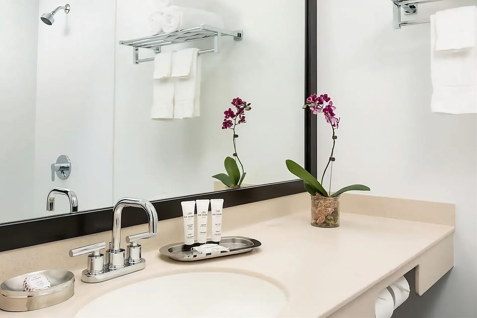 Start your day with spa-like amenities on a sleek vanity.