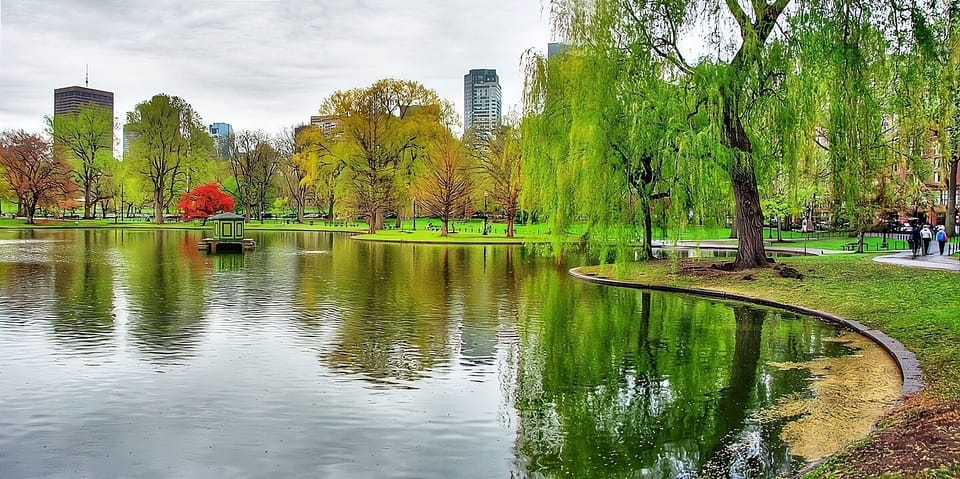 Stroll nearby green spaces and breathe in lakeside calm.