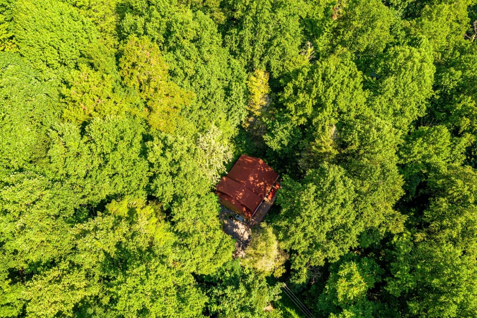 This is glamping! Unrivaled privacy within 4 miles of Dollywood and so many Pigeon Forge attractions!