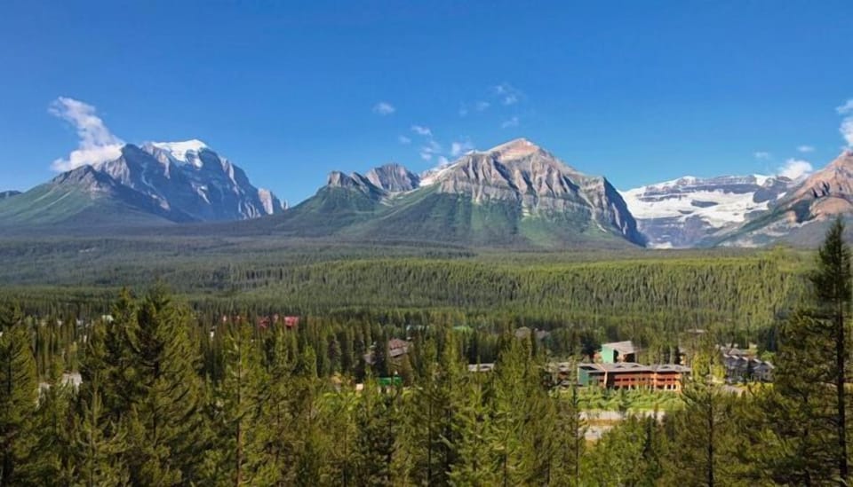 Breathe in the fresh mountain air as lush trees frame a breathtaking landscape.