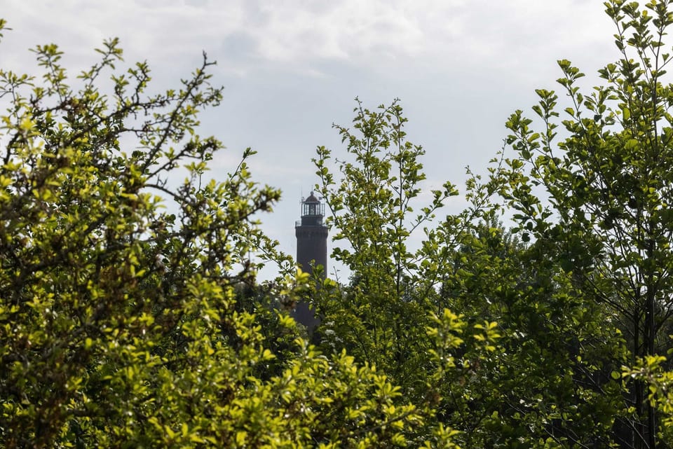 A view of the green surroundings and the lighthouse.